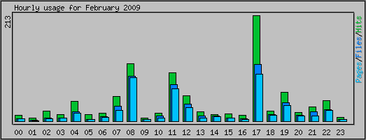 Hourly usage