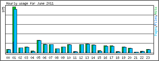 Hourly usage