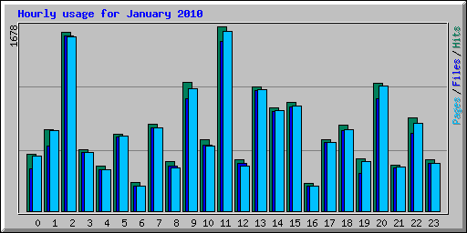 Hourly usage for January 2010
