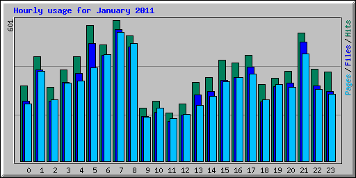 Hourly usage for January 2011